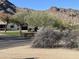 Picturesque street view showcases mountain backdrop and lush desert landscaping adding to community charm at 6242 E Maverick Rd, Paradise Valley, AZ 85253