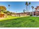 Community pool area featuring mature palm trees and manicured lawns at 7110 E Continental Dr # 1031, Scottsdale, AZ 85257