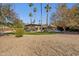 Expansive backyard with desert landscaping, tall palms and a covered patio with seating at 8008 N 66Th St, Paradise Valley, AZ 85253