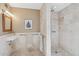 Bathroom features a tiled shower with grab bars, a sink and a mirror at 8008 N 66Th St, Paradise Valley, AZ 85253