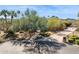 Lovely desert landscaped front yard, with mature trees creating a great curb appeal at 8008 N 66Th St, Paradise Valley, AZ 85253