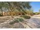 Attractive home exterior with a stone pathway surrounded by mature trees and lush desert landscaping at 8008 N 66Th St, Paradise Valley, AZ 85253