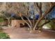 Secluded patio area with seating under a mature tree, creating a tranquil and inviting outdoor space at 8008 N 66Th St, Paradise Valley, AZ 85253