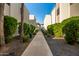 Paved walkway with lush landscaping between modern-style residential buildings at 8588 E Indian School Rd # G, Scottsdale, AZ 85251