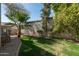 Lush backyard with green grass, mature trees, and privacy wall, ideal for outdoor relaxation and activities at 9224 E Windrose Dr, Scottsdale, AZ 85260