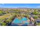 Community pool area with lounge chairs, surrounded by lush palm trees and beautiful landscaping at 10455 E Thornton Ave, Mesa, AZ 85212