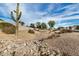 Desert landscaped common area with a variety of trees and plants at 1165 W 4Th Ave, Apache Junction, AZ 85120