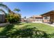 Expansive backyard with lush grass, mature landscaping, and an inviting patio area at 119 W Leatherwood Ave, San Tan Valley, AZ 85140