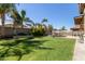 Large, green backyard with palm trees, a trampoline, and block wall fencing at 119 W Leatherwood Ave, San Tan Valley, AZ 85140