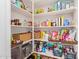 Walk-in pantry features an oven and organized shelving filled with various food items and containers at 119 W Leatherwood Ave, San Tan Valley, AZ 85140