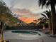 A relaxing backyard pool at dusk with palm trees and an illuminated desert landscape at 1314 W Windsong Dr, Phoenix, AZ 85045