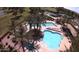 Aerial view of a pool area with palm trees and a uniquely shaped pool at 1403 E Las Colinas Dr, Chandler, AZ 85249