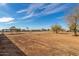 Overview of the expansive land showcasing trees, open space, and potential for future development at 28214 N 223Rd Ln, Wittmann, AZ 85361