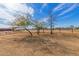 Vast land featuring natural trees, open space and potential building sites for development at 28214 N 223Rd Ln, Wittmann, AZ 85361