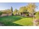 Expansive backyard with lush green grass, mature trees, and a block fence for privacy at 3522 E Edna Ave, Phoenix, AZ 85032