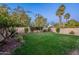 Large backyard with vibrant green grass, mature trees, and a block fence for added privacy at 3522 E Edna Ave, Phoenix, AZ 85032