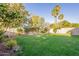 Lush backyard featuring green grass, mature trees, and a block fence surrounding the property at 3522 E Edna Ave, Phoenix, AZ 85032