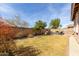 Large backyard featuring lush green grass, mature landscaping, and patio furniture at 35306 N 31St Dr, Phoenix, AZ 85086