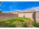 Large backyard with a mix of green and dormant grass, block wall, blue sky and bordering houses at 3532 E Alfalfa Dr, Gilbert, AZ 85298