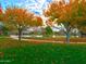 Pond surrounded by trees turning colors and grassy field covered in fall leaves at 37808 N Pagoda Ln, Phoenix, AZ 85086