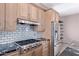 Close-up of kitchen featuring subway tile backsplash and stainless steel appliances at 42829 N Livingstone Way, Anthem, AZ 85086