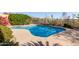 Private pool featuring a unique shape and a beautiful desert garden and privacy fence at 42829 N Livingstone Way, Anthem, AZ 85086