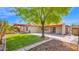 Expansive backyard featuring a lush lawn and a covered patio, perfect for outdoor living at 5216 W Beryl Ave, Glendale, AZ 85302