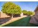 Wide shot of the backyard featuring artificial turf, citrus trees, and a storage shed at 5618 E Des Moines St, Mesa, AZ 85205