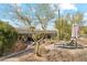 Desert backyard with cacti and vegetation, lounge chairs, and patio at 6432 E Old Paint Trl, Carefree, AZ 85377