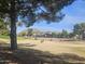 Scenic view of a golf course with mature trees, golf carts, and people playing golf at 650 N Hawes Rd # 2852, Mesa, AZ 85207