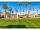 Well-manicured community grounds featuring lush green grass, palm trees, and desert landscaping, enhancing the neighborhood's appeal at 9151 W Greenway Rd # 258, Peoria, AZ 85381