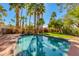 Backyard swimming pool surrounded by lush landscaping and palm trees, creating a private oasis at 9214 N 83Rd St, Scottsdale, AZ 85258