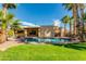 Backyard pool surrounded by mature palm trees and lush green grass on a sunny day at 9214 N 83Rd St, Scottsdale, AZ 85258