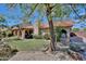 Inviting backyard with manicured lawn, mature trees and privacy landscaping at 13601 S 37Th St, Phoenix, AZ 85044