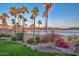 Beautiful waterfront backyard with lush landscaping, palm trees, and scenic mountain views at 18207 W Hope Dr, Goodyear, AZ 85338