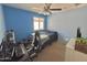 Bedroom featuring blue walls, carpet, a ceiling fan and a window at 2019 N 78Th Ave, Phoenix, AZ 85035