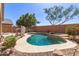 Beautifully landscaped backyard with a private pool and lush greenery at 26826 N 66Th Ln, Phoenix, AZ 85083