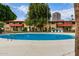 Sparkling community pool, surrounded by lush trees, offering a refreshing escape with nearby building at 355 E Thomas Rd # B110, Phoenix, AZ 85012