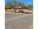 Expansive front yard with mature trees and desert landscaping on a sunny day at 35524 N 215Th Dr, Wittmann, AZ 85361