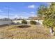 Spacious backyard with a trampoline and citrus tree at 4010 E Grandview St, Mesa, AZ 85205