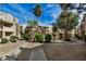 Well-maintained community space featuring palm trees, desert landscaping, and a pool at 4850 E Desert Cove Ave # 251, Scottsdale, AZ 85254