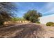 Spacious backyard featuring desert landscaping, mature trees, rock path, and block wall at 6404 S Lazy Ln, Gold Canyon, AZ 85118