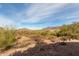 A beautiful homesite with natural desert vegetation and stunning mountain views in distance at 6404 S Lazy Ln, Gold Canyon, AZ 85118
