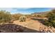 Desert backyard offering privacy and natural beauty with mountain views from the homesite at 6404 S Lazy Ln, Gold Canyon, AZ 85118