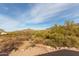 Stunning desert landscape featuring native plants with mountain views in the background at 6404 S Lazy Ln, Gold Canyon, AZ 85118