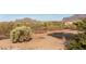 Picturesque desert landscape featuring native cacti, brush, and mountain views in the background at 6404 S Lazy Ln, Gold Canyon, AZ 85118