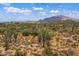 Arizona landscape featuring native cacti and desert vegetation with scenic mountain views under a blue sky at 86Xx E Stagecoach Pass # 5, Carefree, AZ 85377