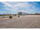 Expansive grounds with gravel, mature landscaping, metal shed and gazebo under sunny blue skies at 1612 N 201St Ave, Buckeye, AZ 85396