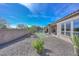 Picturesque backyard featuring desert landscaping, manicured green space, and privacy wall at 27709 N 129Th Ln, Peoria, AZ 85383