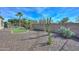 Lush backyard with desert landscaping, mature palms, cacti, and an attractive privacy wall for seclusion at 27709 N 129Th Ln, Peoria, AZ 85383